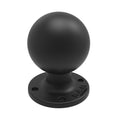 RAM Mounts Round AMPS Plate with Ball, D-Size (RAM-D-254U)